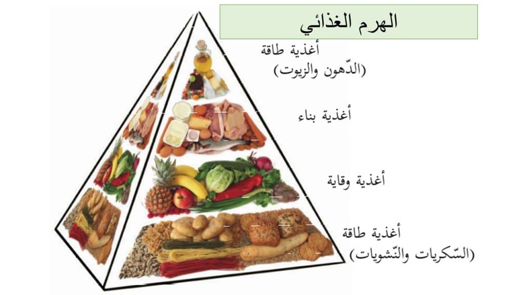 ورقة عمل الغذاء المتوازن