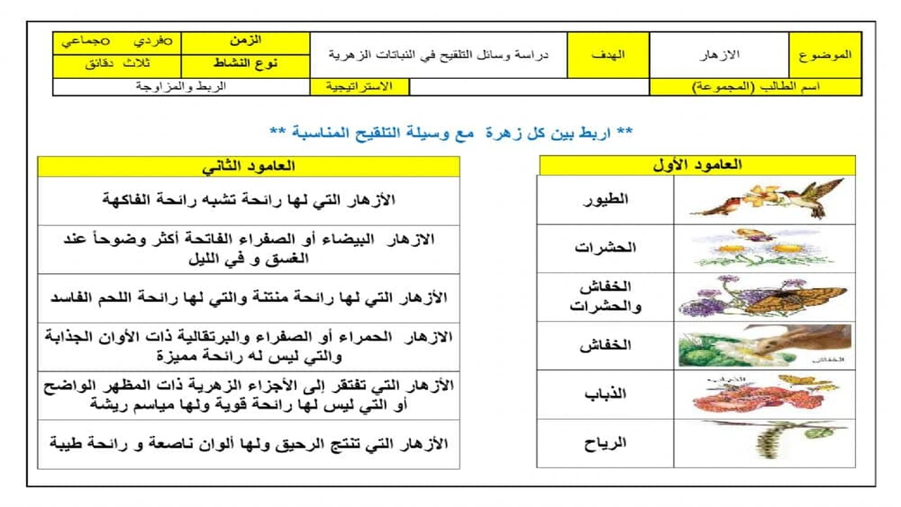 صورة ورقة عمل النباتات الزهرية