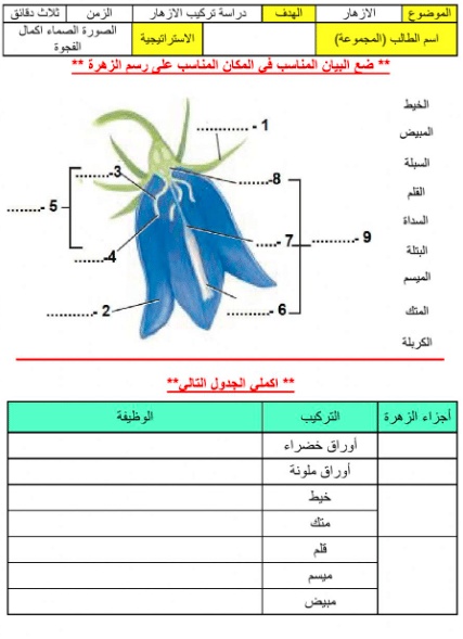 ورقة عمل النباتات اللاوعائية