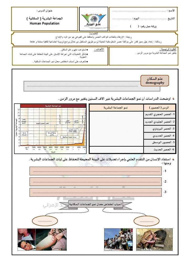 ورقة عمل النباتات اللاوعائية
