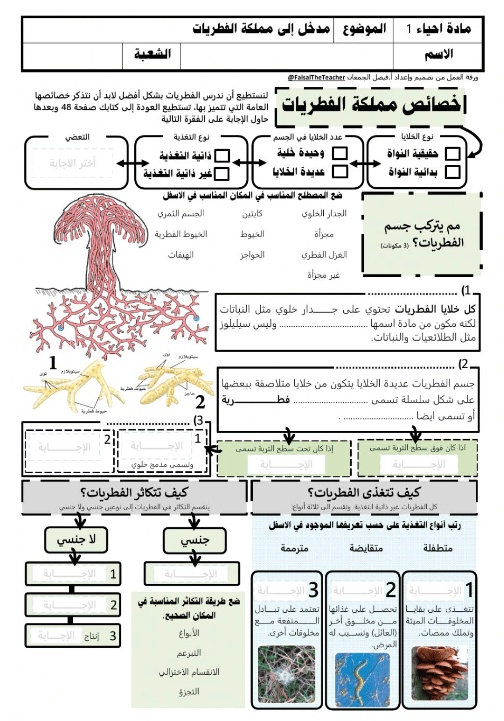 ورقة عمل تنوع مملكة الطلائعيات