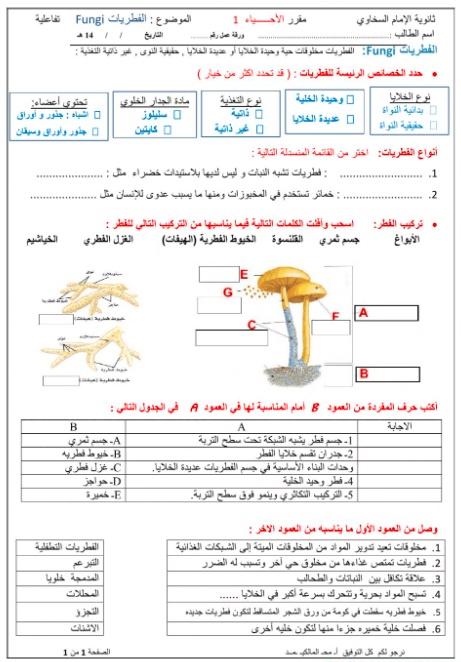 ورقة عمل تنوع مملكة الطلائعيات