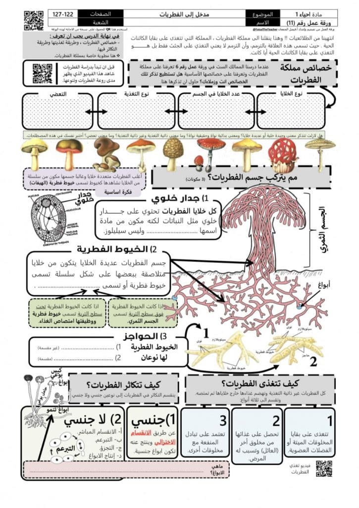 ورقة عمل تنوع مملكة الطلائعيات
