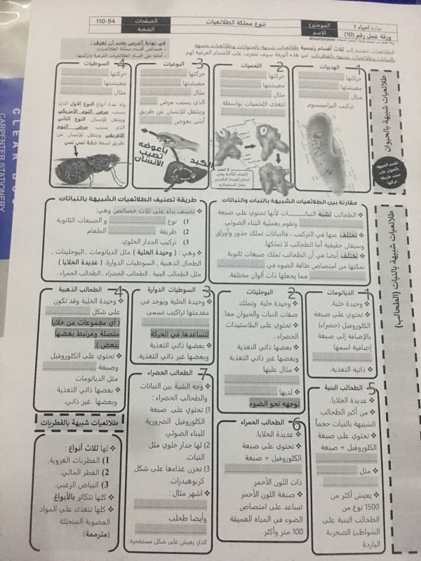 ورقة عمل تنوع مملكة الطلائعيات