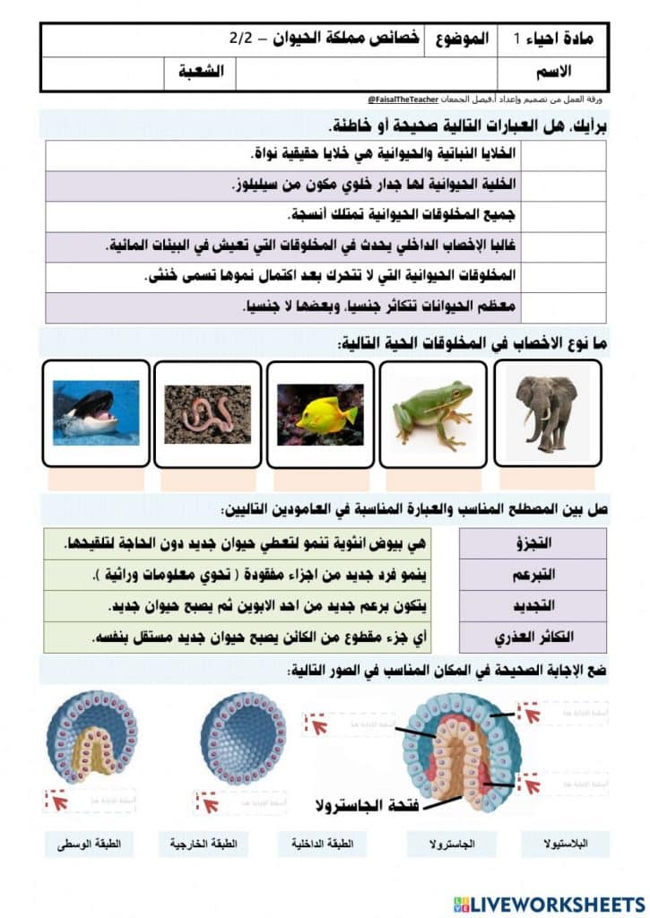 ورقة عمل خصائص الحيوانات