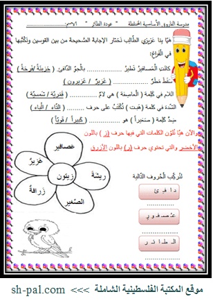 ورقة عمل درس الرسامة الصغيرة