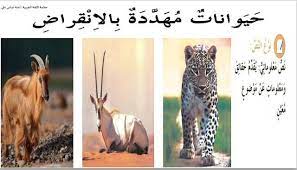 ورقة عمل درس حيوانات مهددة بالانقراض