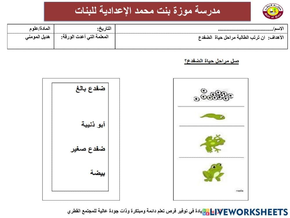 ورقة عمل دورة حياة الضفدع