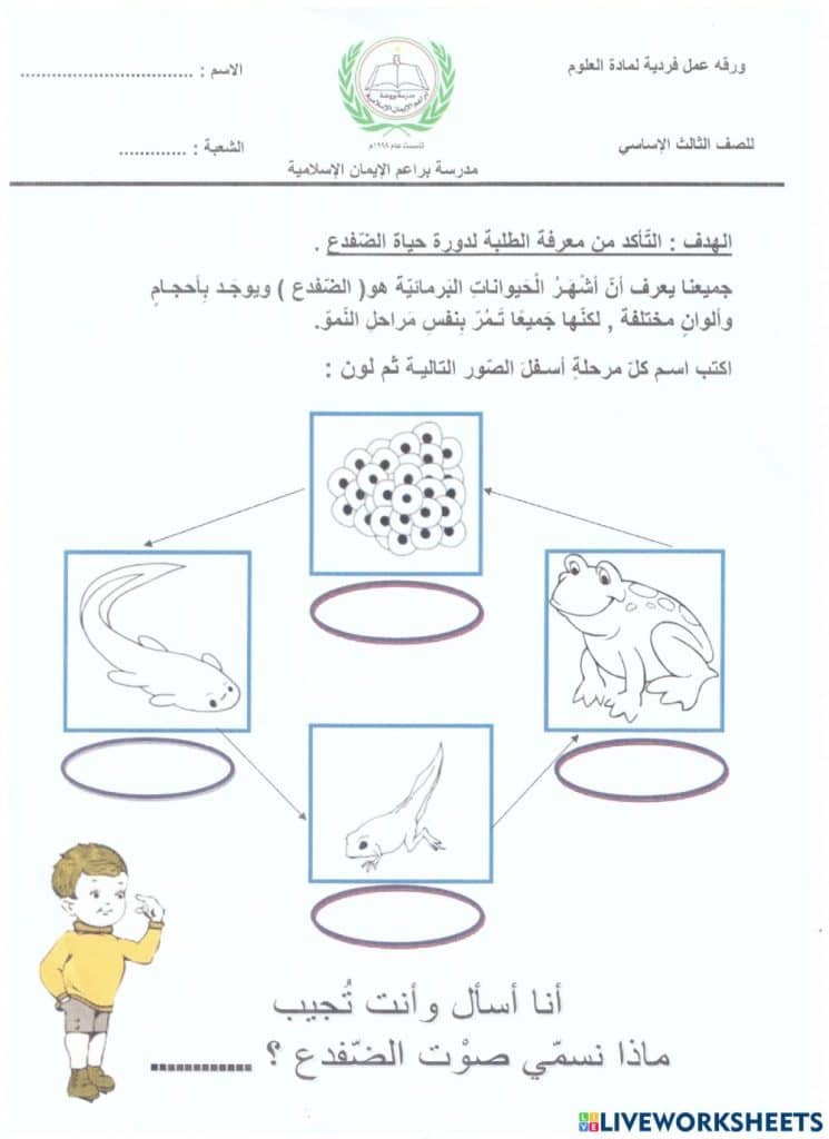 ورقة عمل دورة حياة الضفدع