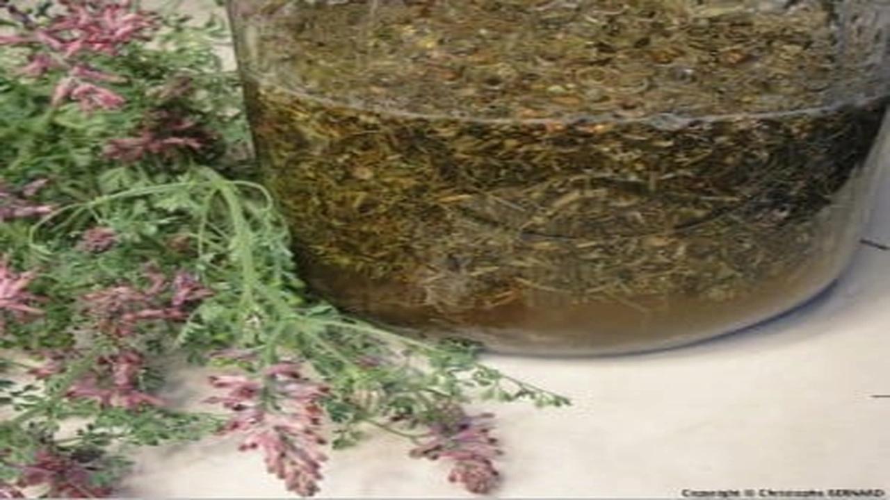 صورة وصفات مستخلصة و مغلية لراحتك 