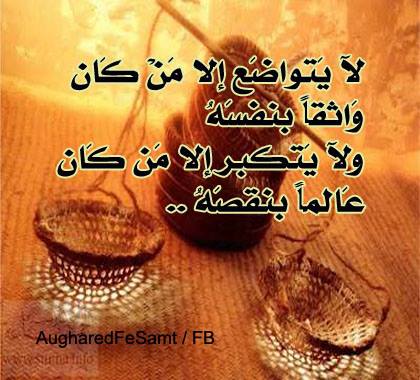 ابيات شعرية عن التواضع