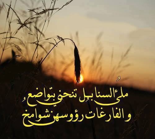 ابيات شعرية عن التواضع