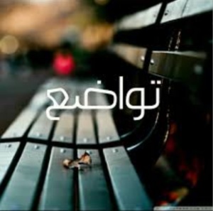 ابيات شعرية عن التواضع