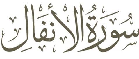 تجاربكم مع سورة الأنفال