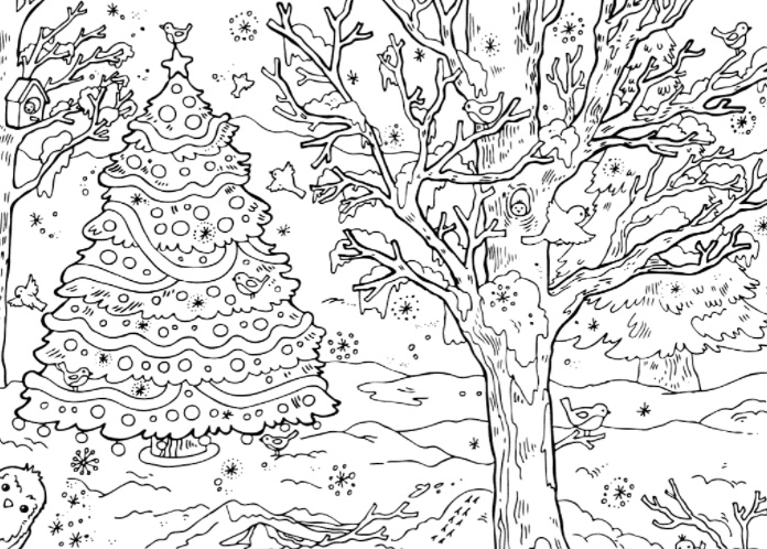 رسومات تلوين طبيعة