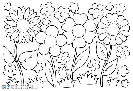 رسومات تلوين طبيعة