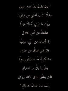 شعر عن البعد