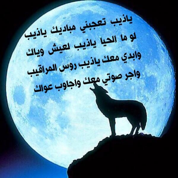 شعر وصف الذيب