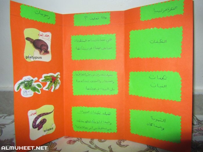 مطويات عن النقود