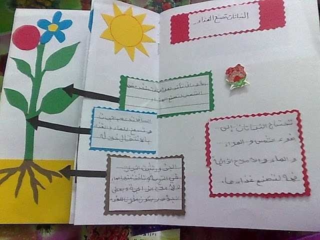 مطويات عن دورة حياة النبات