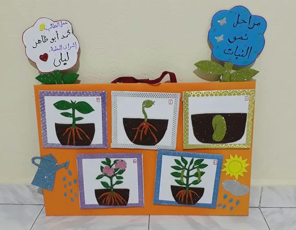 مطويات عن دورة حياة النبات