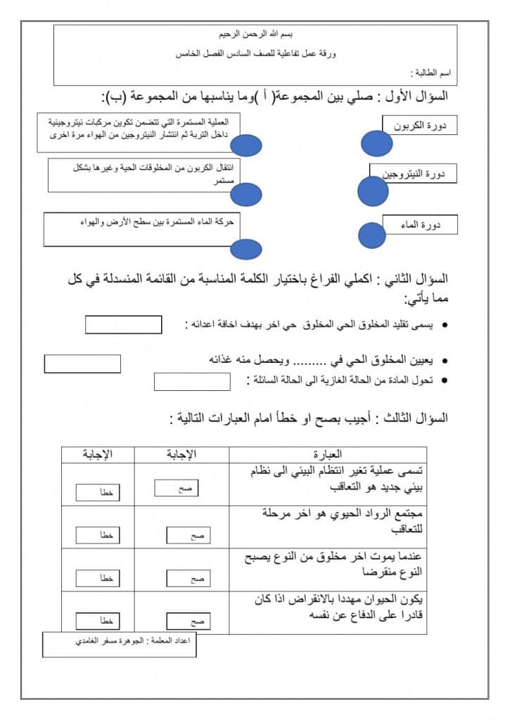 ورقة عمل تفاعلية