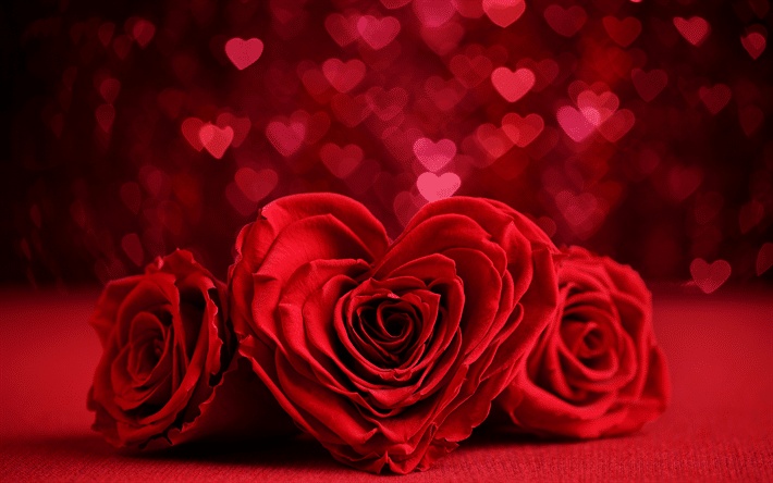 love messages for one year anniversary