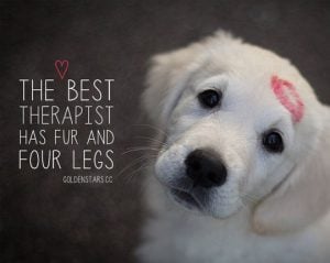 quotes about dogs love