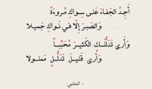 أبيات شعرية مشهورة