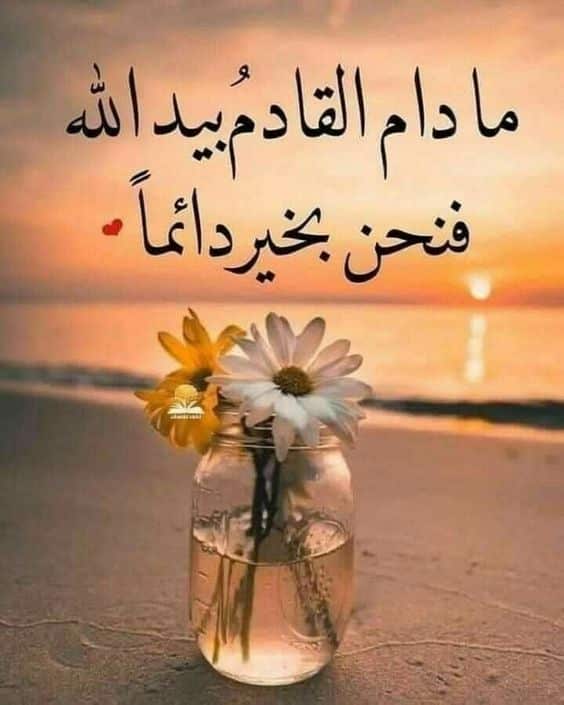 أجمل عبارات فخمة