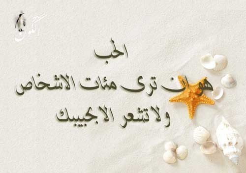 أحلى عبارات عن الحب