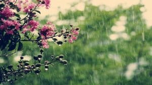 أدعية المطر للرزق