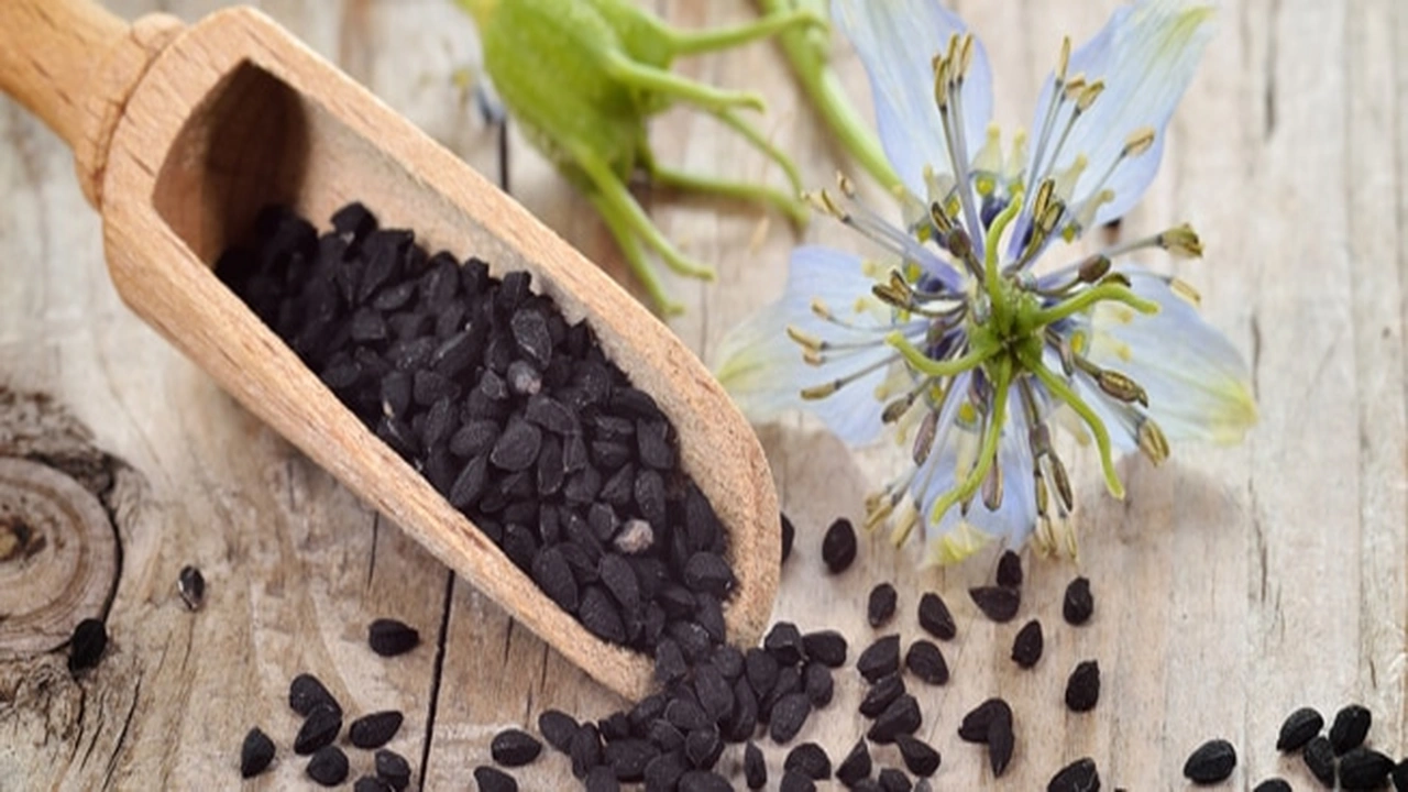 صورة أضرار الحبة السوداء على الحامل 