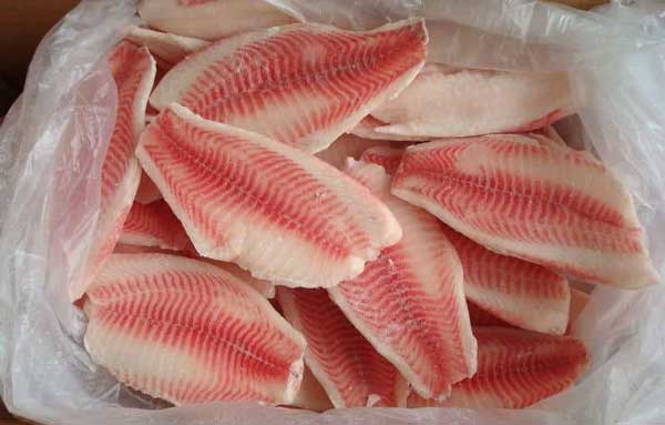 أفضل شركة سمك فيليه مجمد