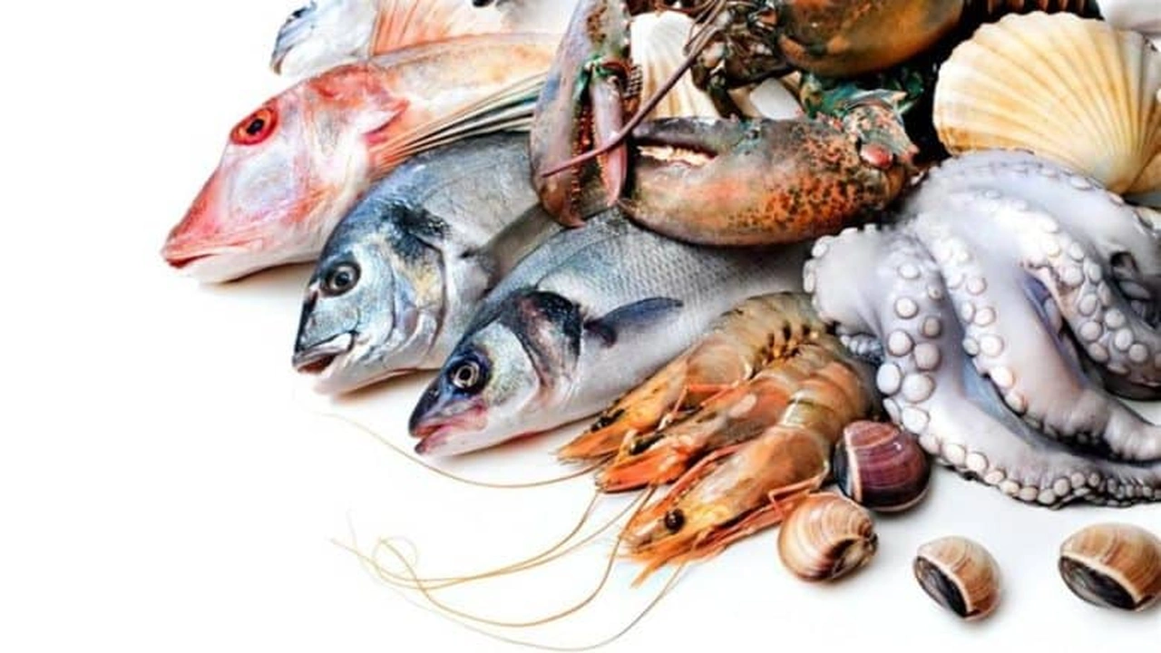 صورة أفضل شركة سمك فيليه مجمد