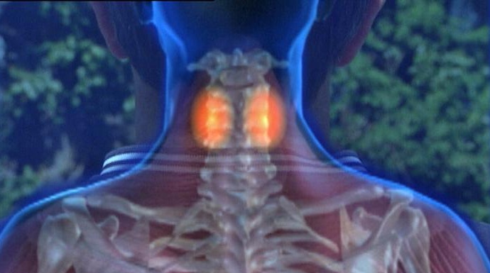 أفضل علاج الارتروز الرقبة