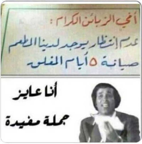 أفضل كلمات بالعامية المصرية