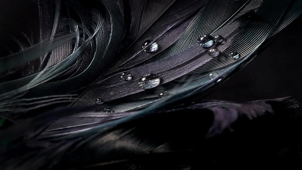 صورة أفضل لون مع الأسود