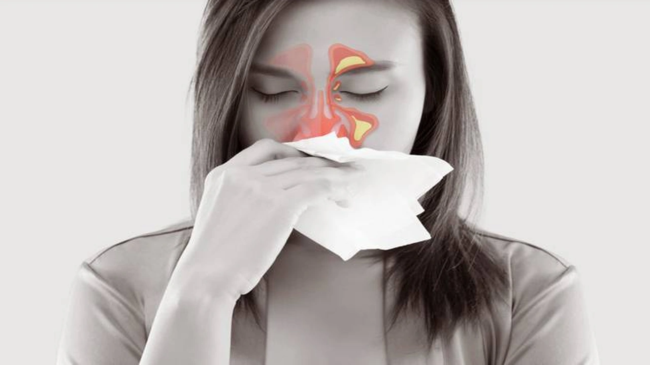 صورة أفضل مضاد لعلاج التهاب الجيوب الأنفية