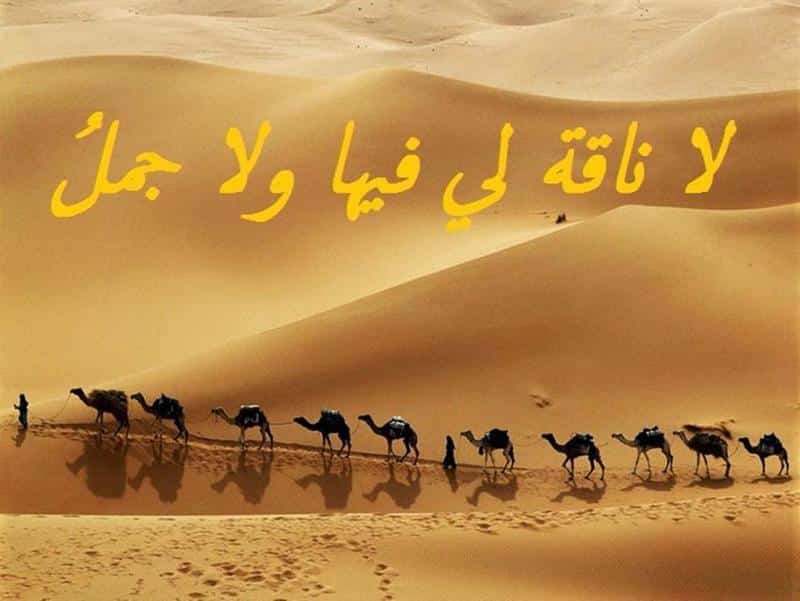 أمثال شعبية عن الدنيا