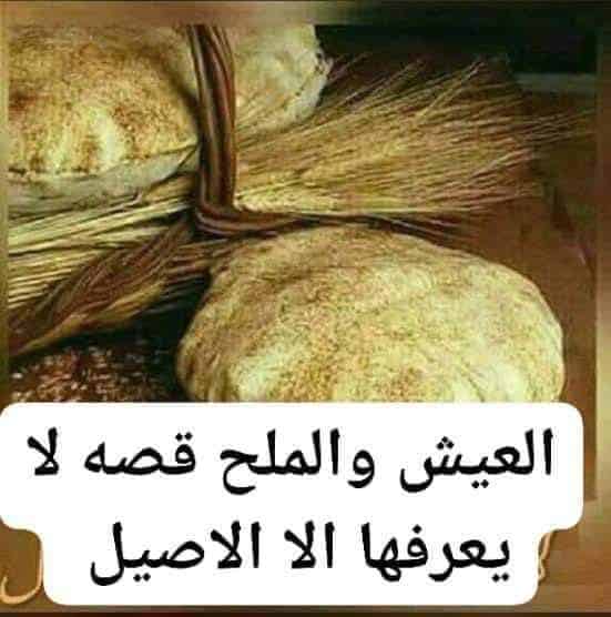 أمثال شعبية عن العيش والملح