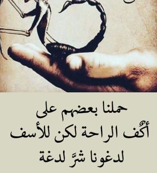 أمثال شعبية عن الغدر