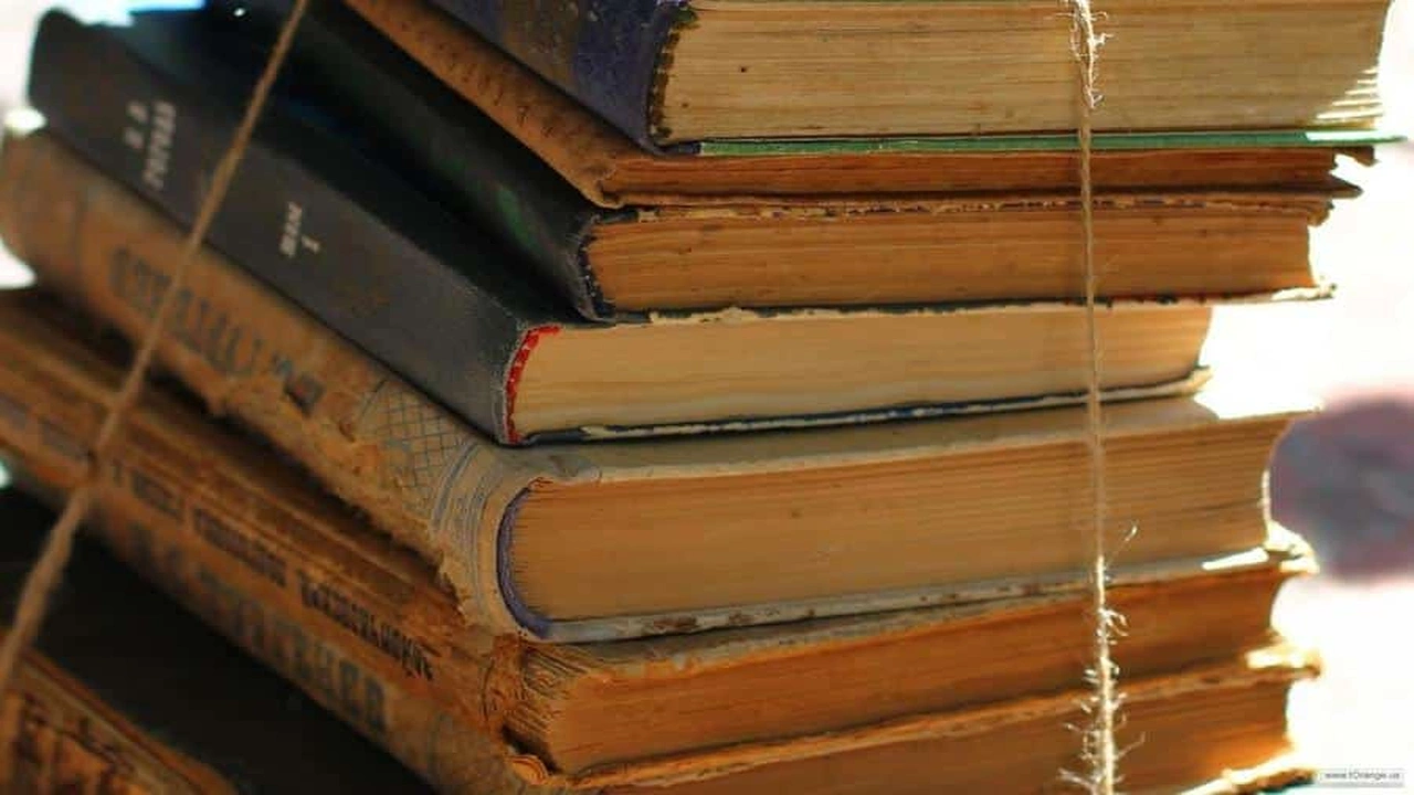 صورة أمثال عربية مشهورة وقصتها