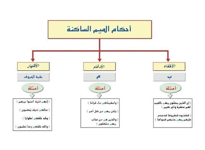 أمثلة على أحكام الميم الساكنة من سورة البقرة
