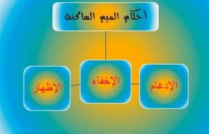 أمثلة على أحكام الميم الساكنة من سورة البقرة