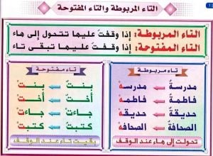 أمثلة على التاء المربوطة والتاء المفتوحة