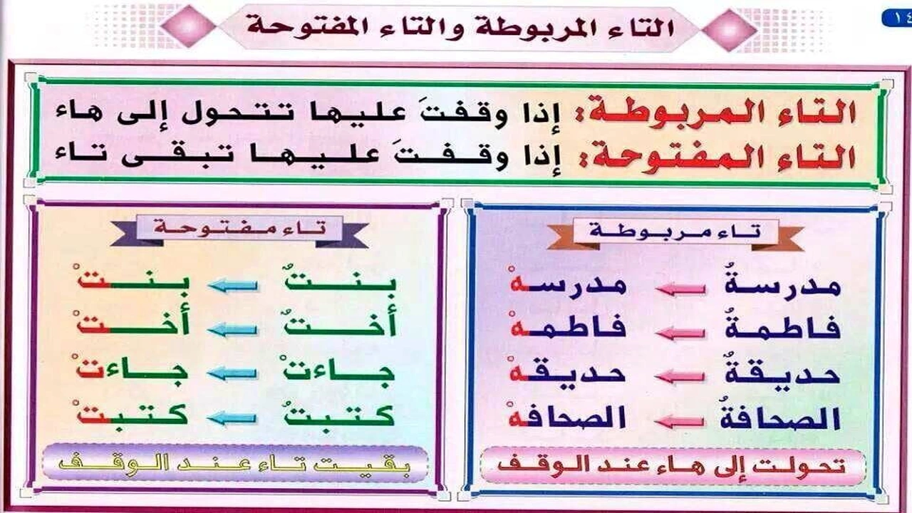 صورة أمثلة على التاء المربوطة والتاء المفتوحة
