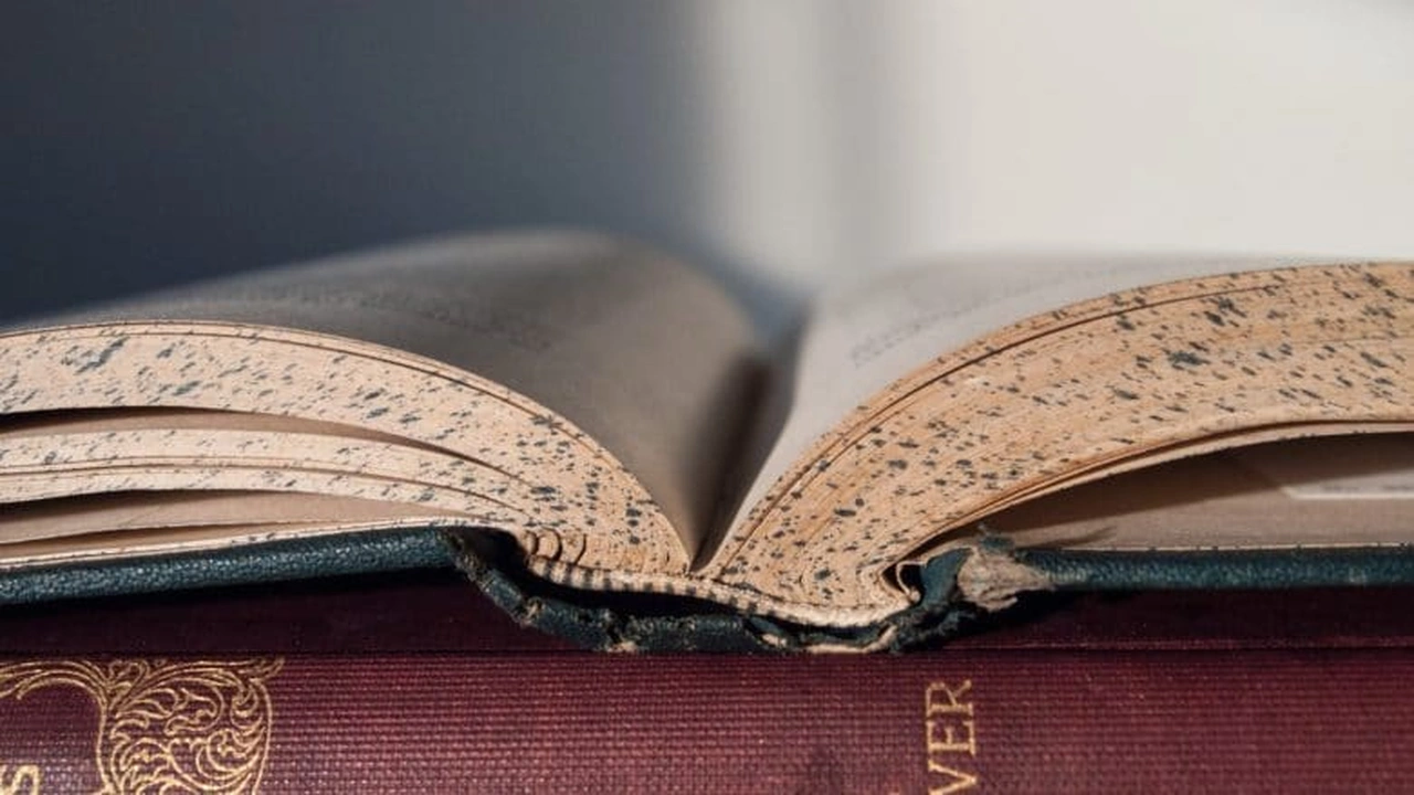 صورة أمثلة على جناس ناقص