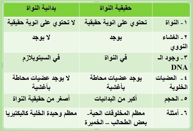 أمثلة على خلايا حقيقية النواة