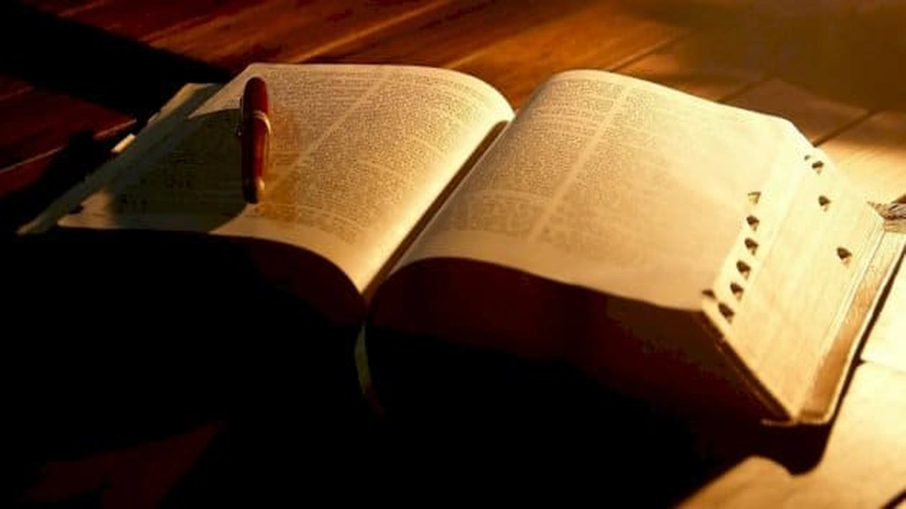 صورة أمثلة على كم الاستفهامية والخبرية